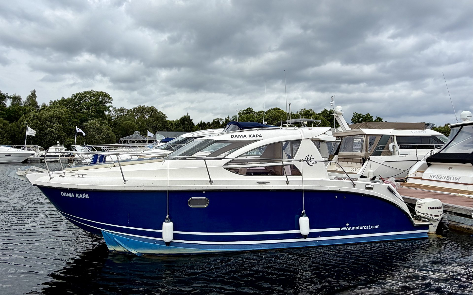 Motor-Cat MC29