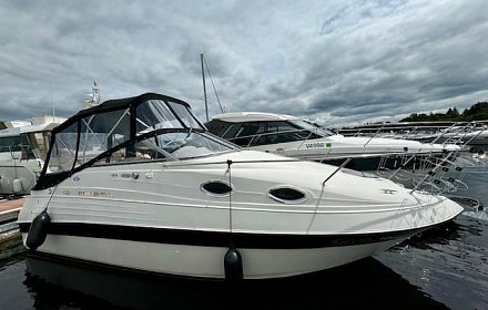 Regal Commodore 242