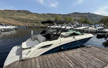 Sea Ray SDX 250